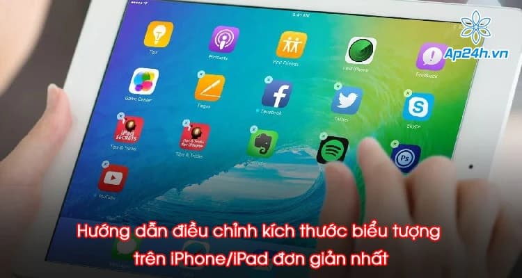 Hướng dẫn điều chỉnh kích thước biểu tượng trên iPhone/iPad đơn giản nhất