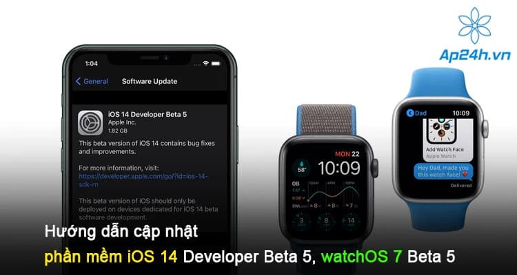 Hướng dẫn cập nhật phần mềm iOS 14 Developer Beta 5, watchOS 7 Beta 5