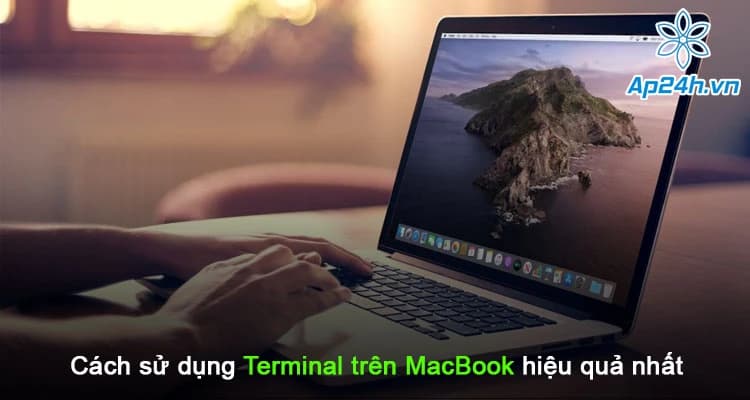 Cách sử dụng Terminal trên MacBook hiệu quả nhất