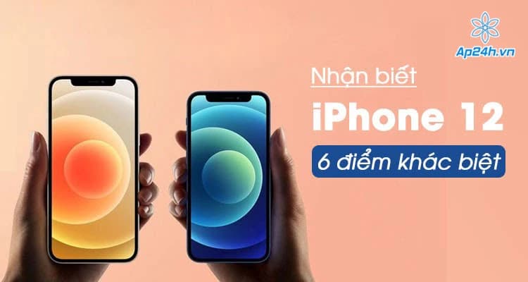 6 điểm khác biệt lớn giữa iPhone 12, iPhone 12 mini, iPhone 12 Pro và iPhone 12 Pro Max