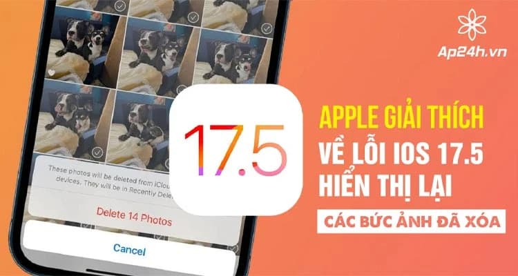 Apple giải thích lỗi hiển thị lại ảnh đã xóa trên iOS 17.5