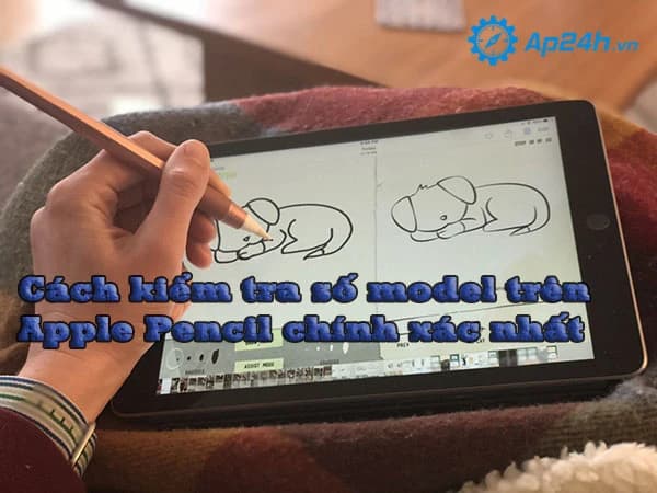 Cách kiểm tra số model trên Apple Pencil chính xác nhất