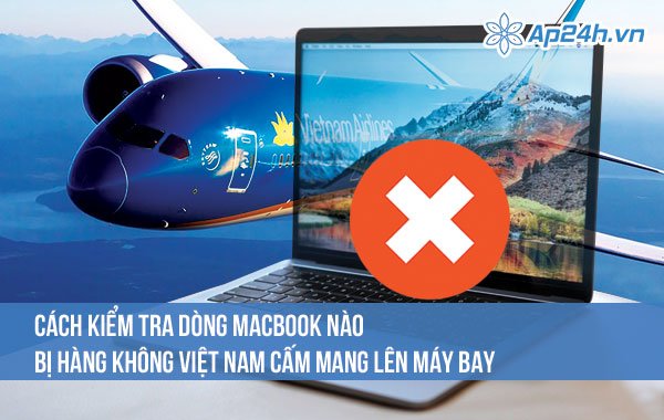 Cách kiểm tra dòng MacBook nào bị hàng không Việt Nam cấm mang lên máy bay