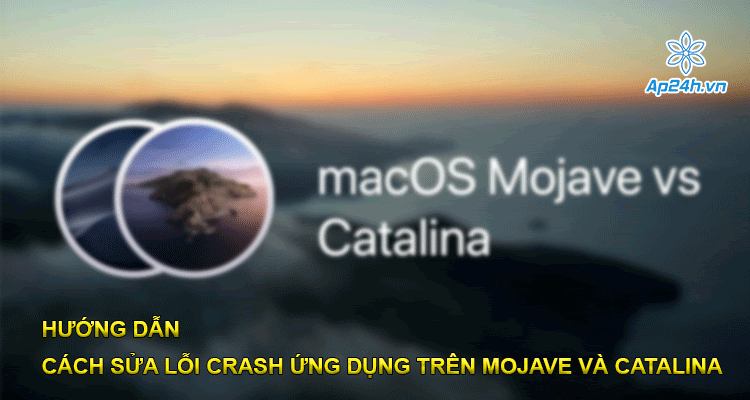 Hướng dẫn cách sửa lỗi Crash ứng dụng trên Mojave và Catalina