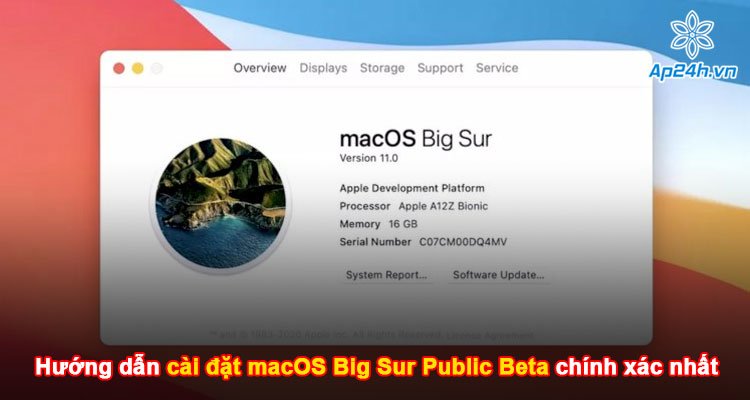 Hướng dẫn cài đặt macOS Big Sur Public Beta chính xác nhất