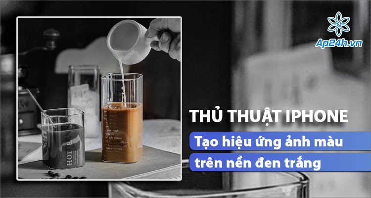 Hãy khám phá cách chỉnh ảnh nền đen trắng để tạo ra những bức ảnh đầy tinh túy và cổ điển. Chỉ với một vài thao tác đơn giản, bạn sẽ có thể mang lại cho bức ảnh của mình một sắc thái hoàn hảo, tinh tế hơn bao giờ hết.