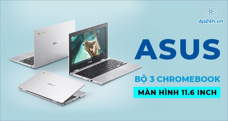 Asus trở lại với 3 mẫu Chromebook 11.6 inch có thiết kế giống nhau