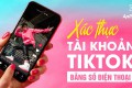 Cách xác thực tài khoản TikTok bằng số điện thoại | Nhanh chóng và hiệu quả