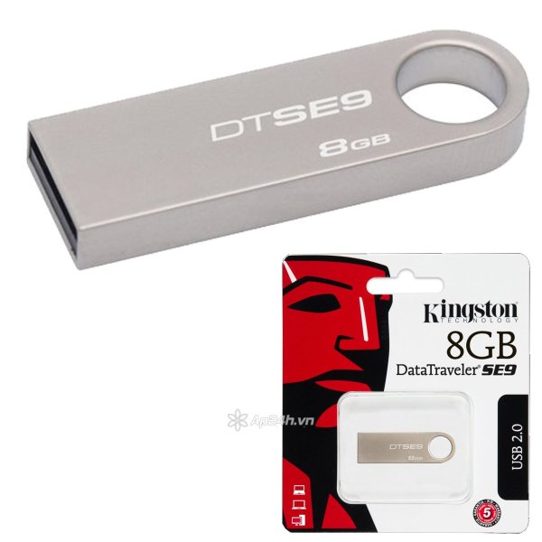 USB 8GB Kingston DTSE9