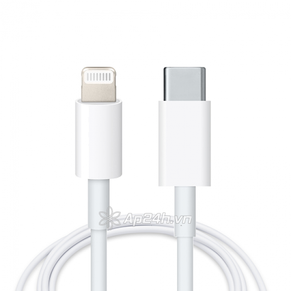 LIGHTNING TO USB -C CABLE (1M)