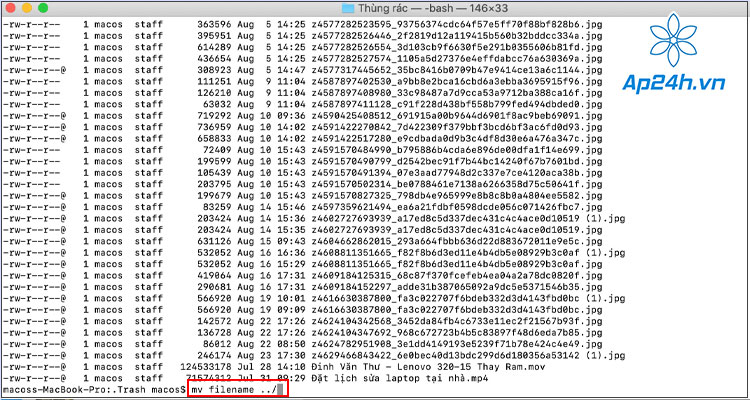 Nhập mv filename ../