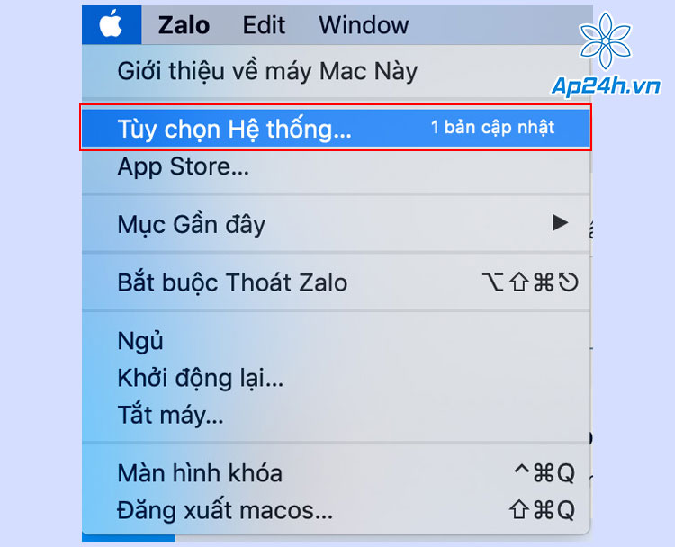 Chọn Tùy chọn hệ thống