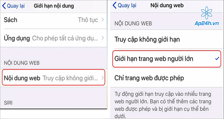   Nhấn chọn Giới hạn trang web người lớn  