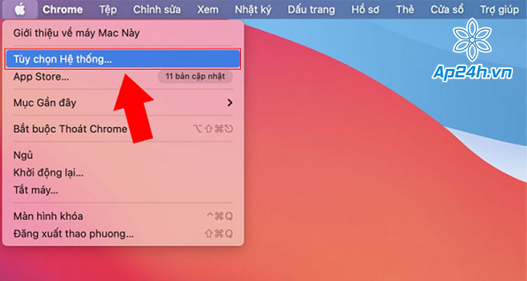 Chọn Tùy chọn hệ thống (System Preferences)