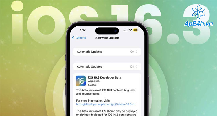  Biên bản iOS 16.3 beta 1