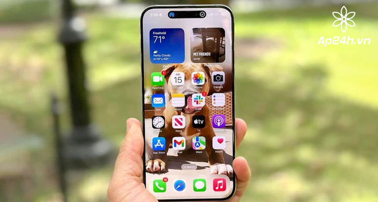 Màn hình iPhone 15 Pro Max có thực sự tốt