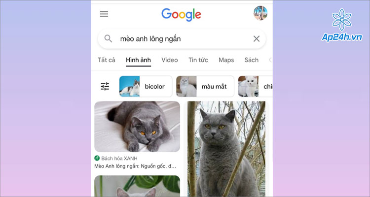  Tại tab Hình ảnh chọn ảnh muốn tìm kiếm 