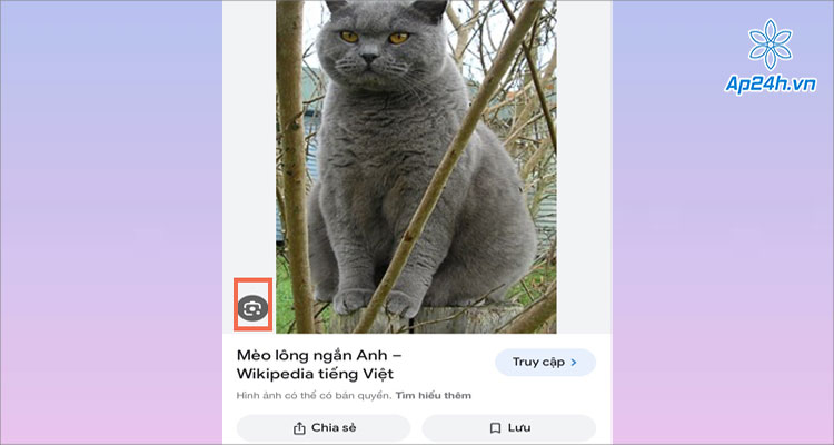  Nhấn vào biểu tượng Google Lens