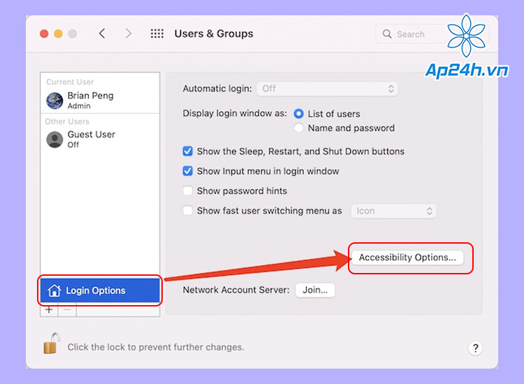 Tùy chọn trợ năng (Accessibility Options)