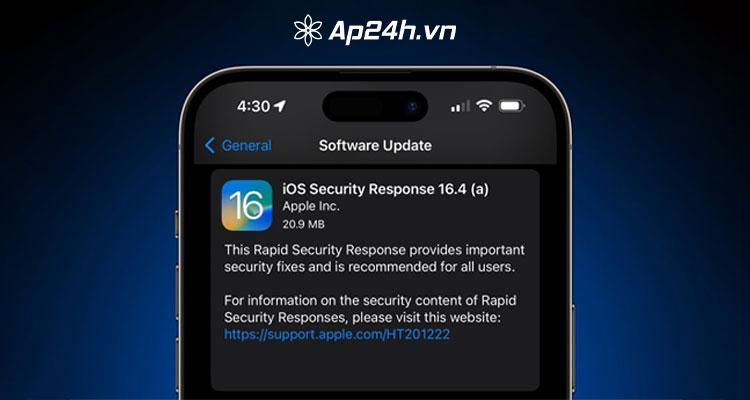  Tên hiển thị Phản hồi bảo mật iOS 16.4 (a) và Phản hồi bảo mật macOS 13.3 (a)
