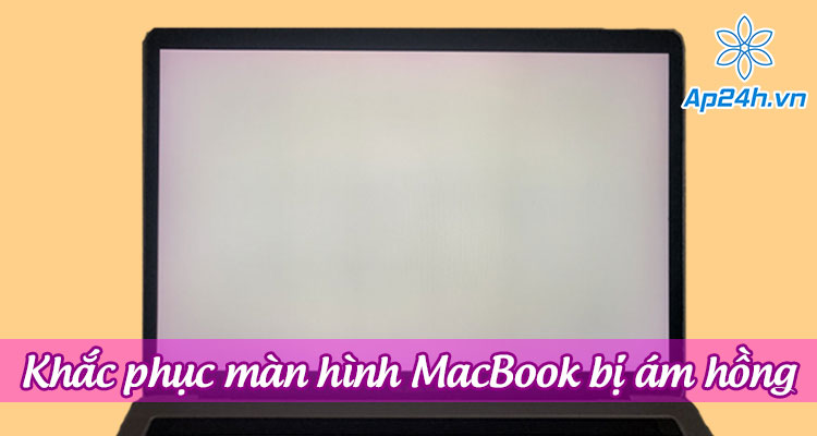 màn hình MacBook bị ám hồng