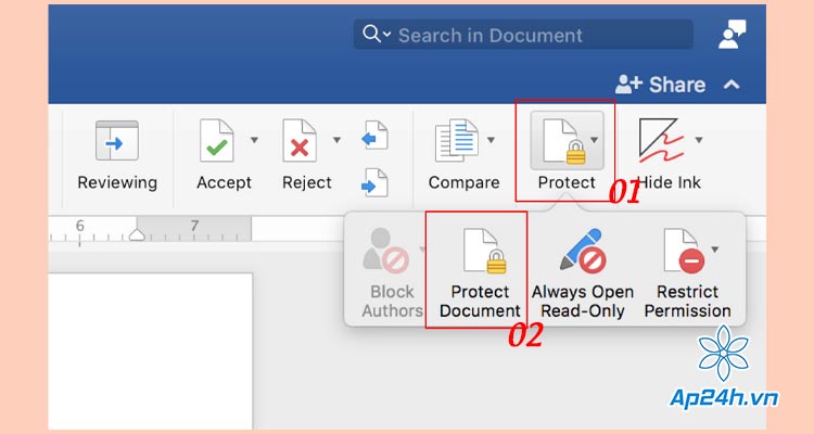 Chọn Protect Document