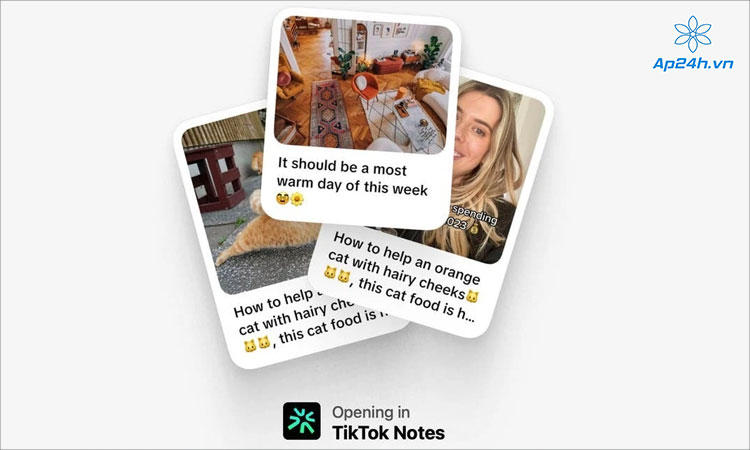 Giao diện TikTok Notes được giới thiệu khá giống Instagram